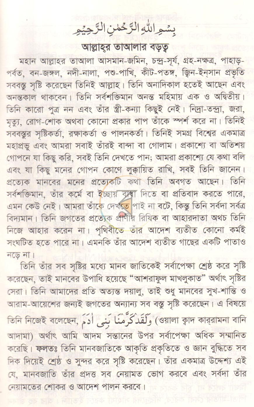 পাতা 8