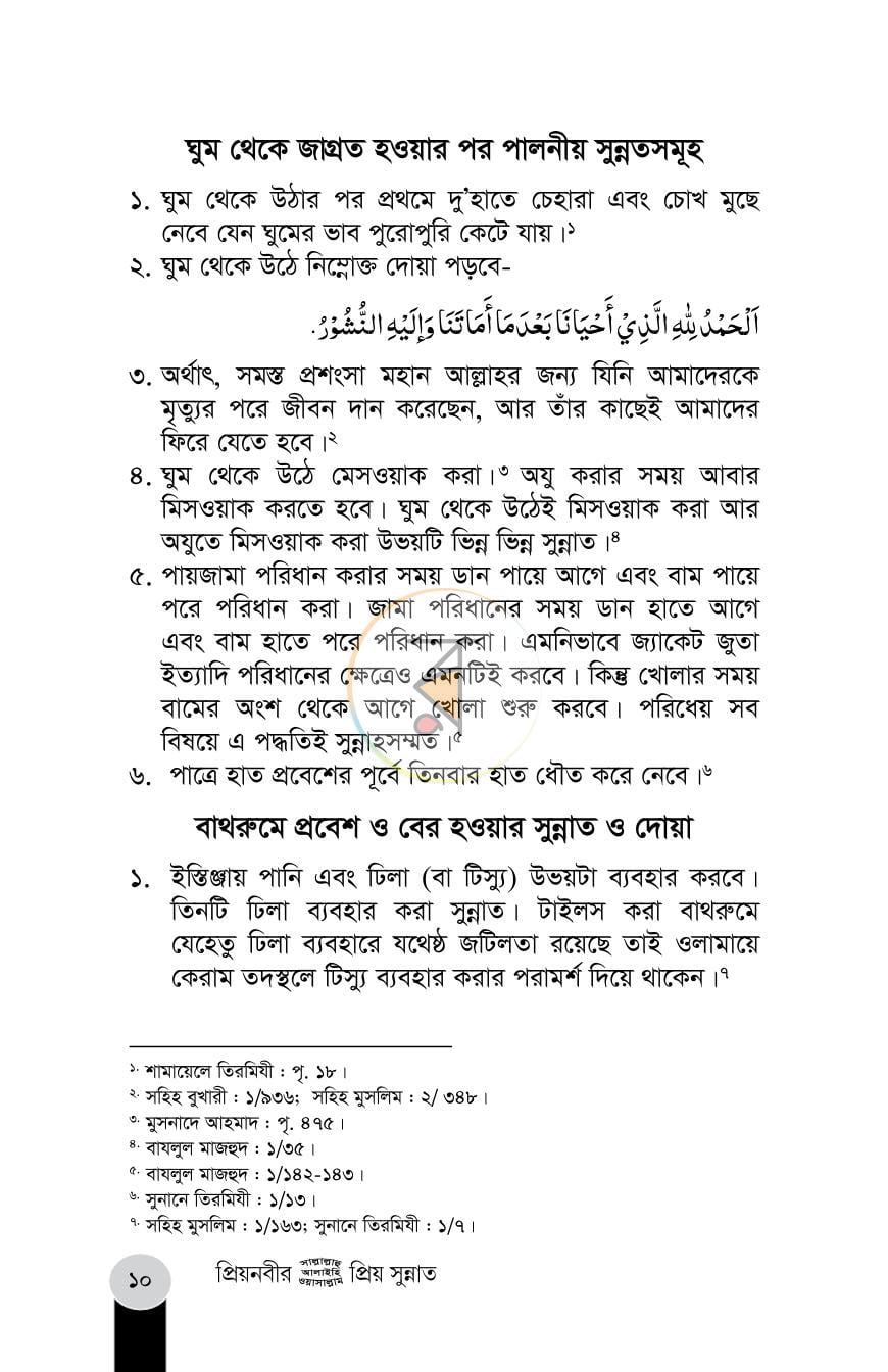 পাতা 10