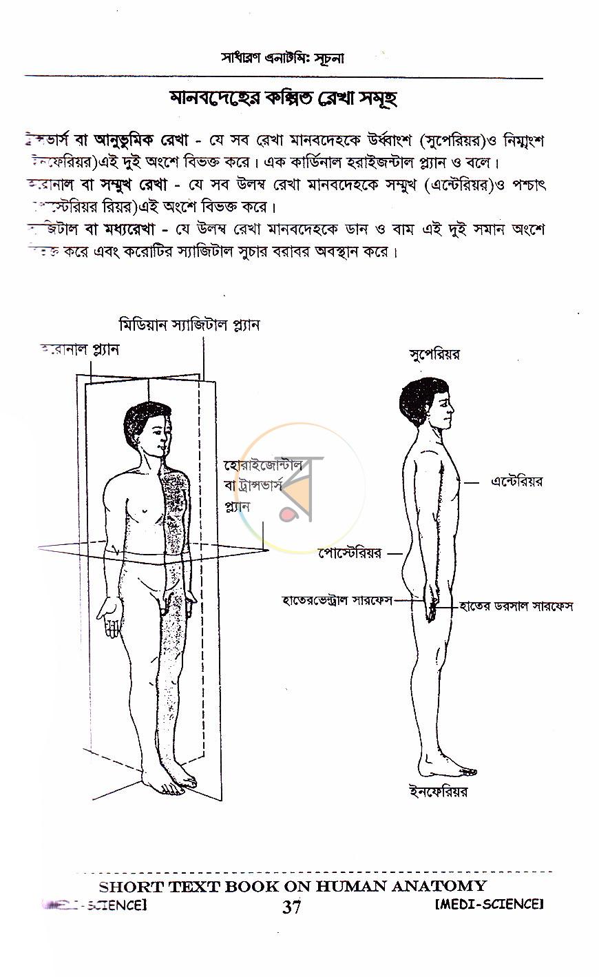 পাতা 14