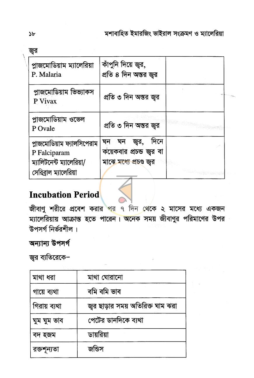 পাতা 10