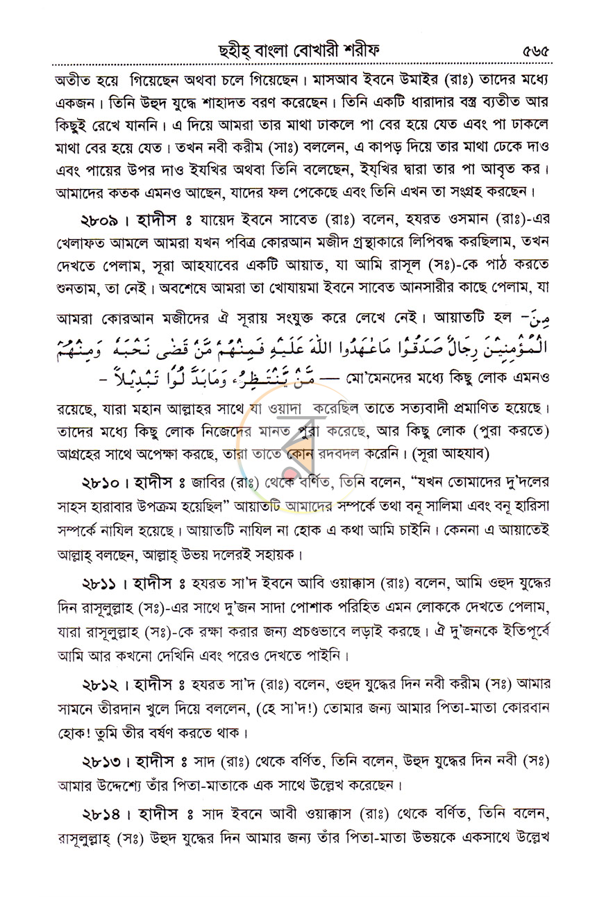 পাতা 11