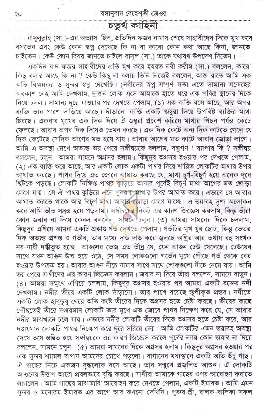 পাতা 11