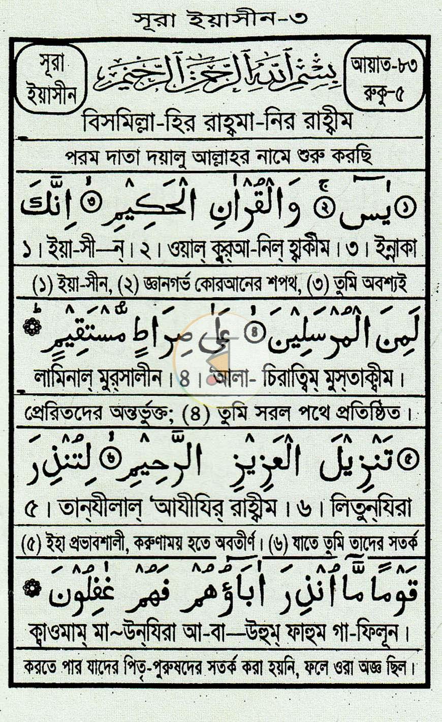 পাতা 3