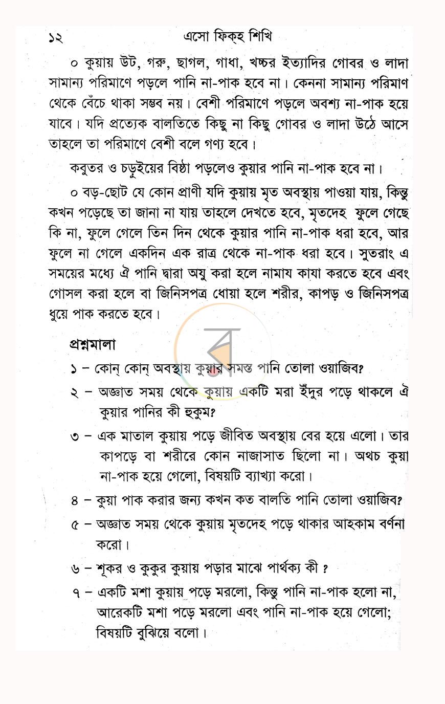 পাতা 13