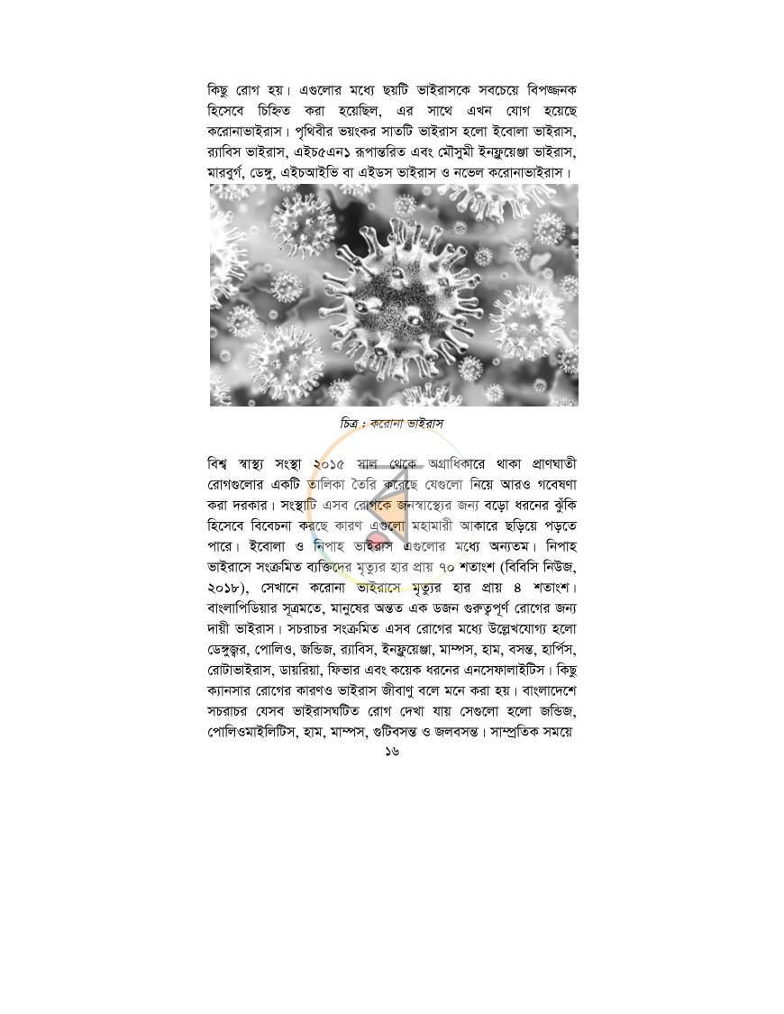 পাতা 13