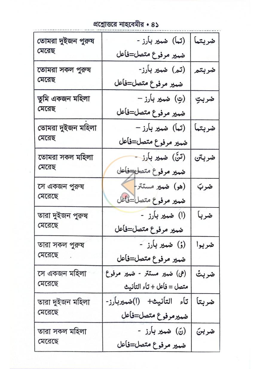 পাতা 8