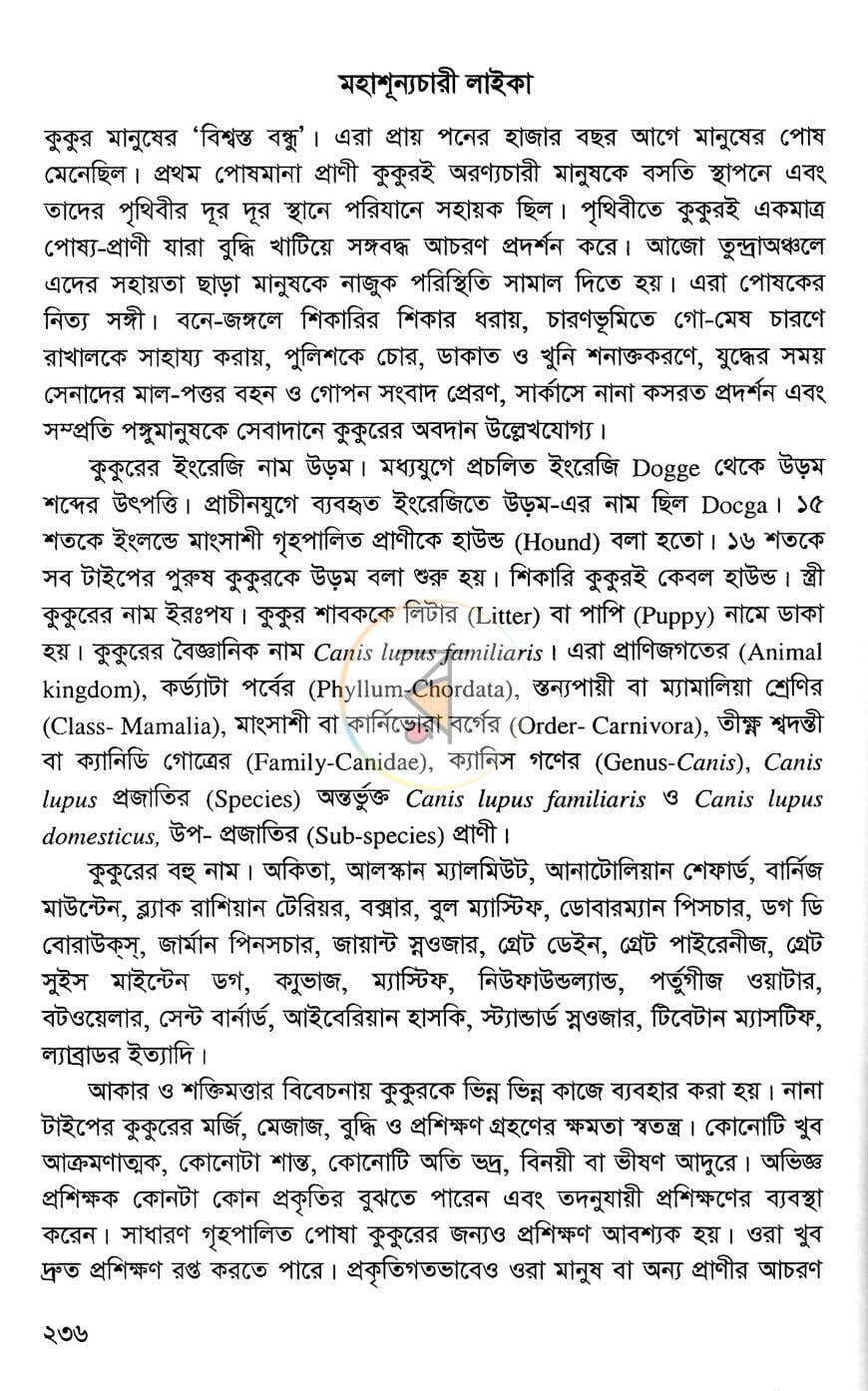 পাতা 17