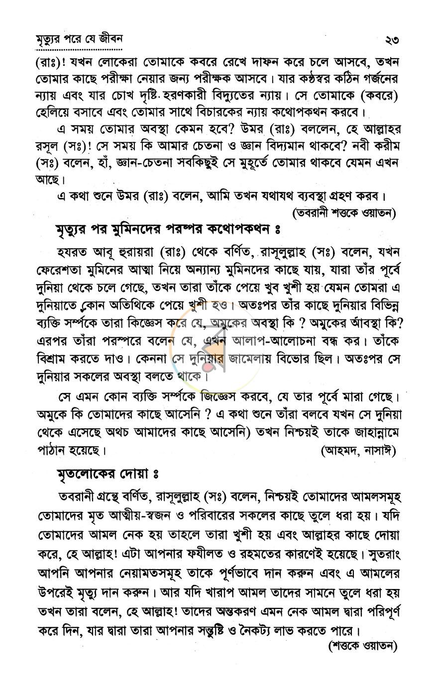 পাতা 11