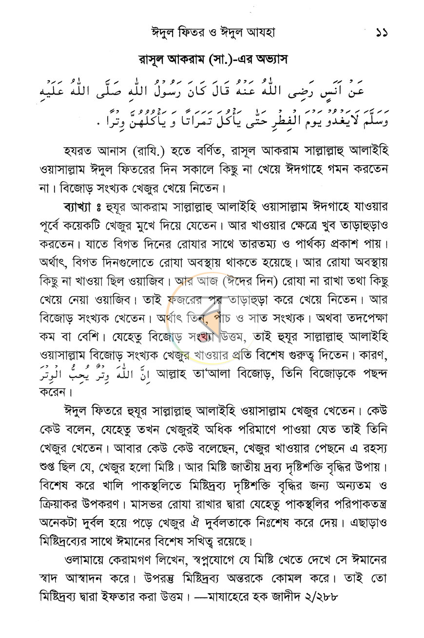 পাতা 10