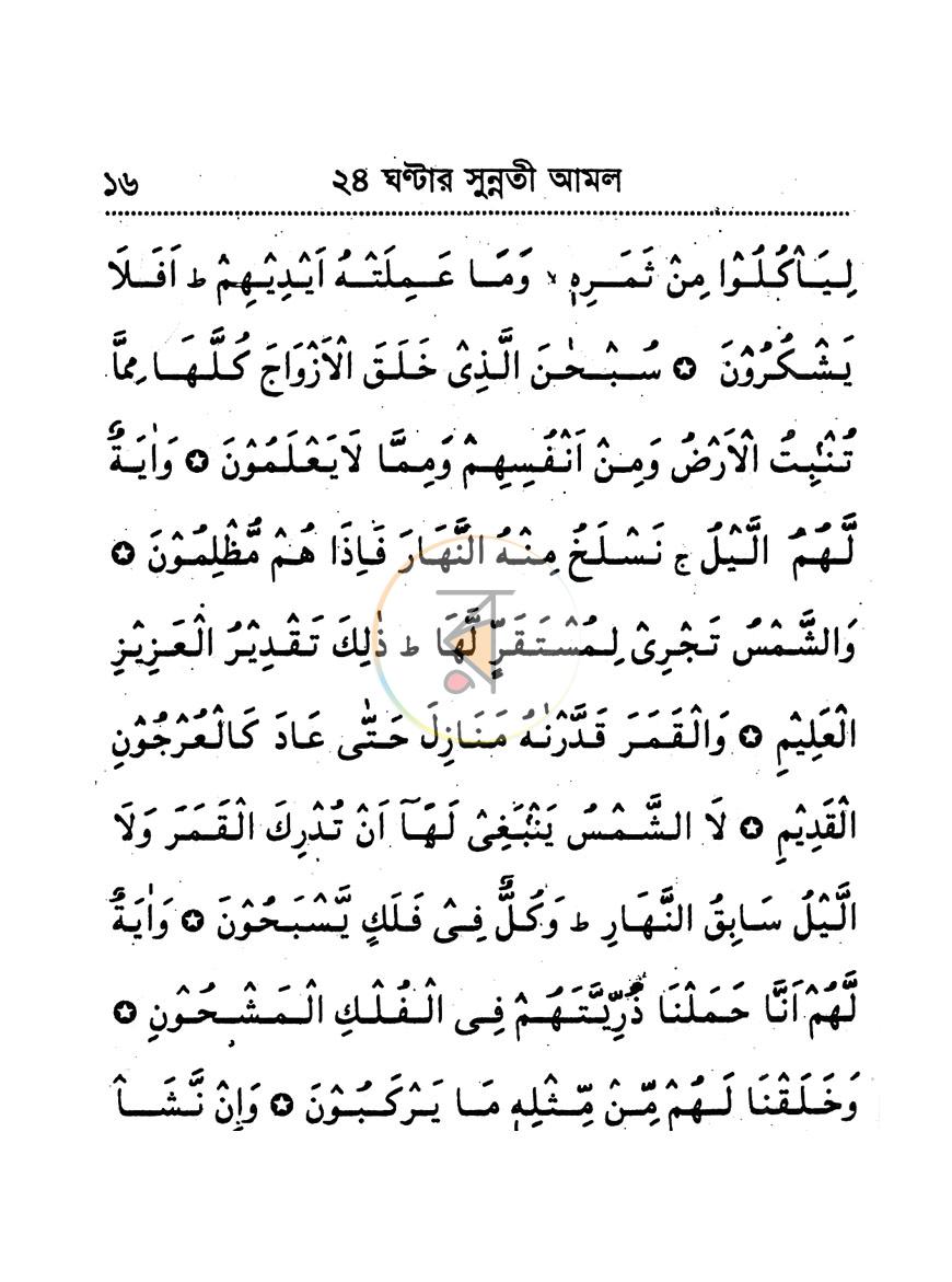 পাতা 11