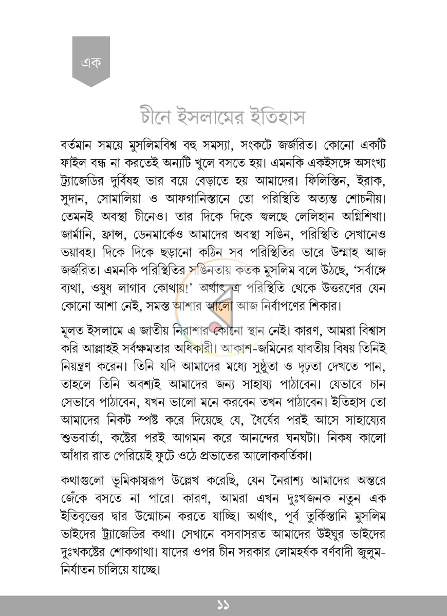 পাতা 10