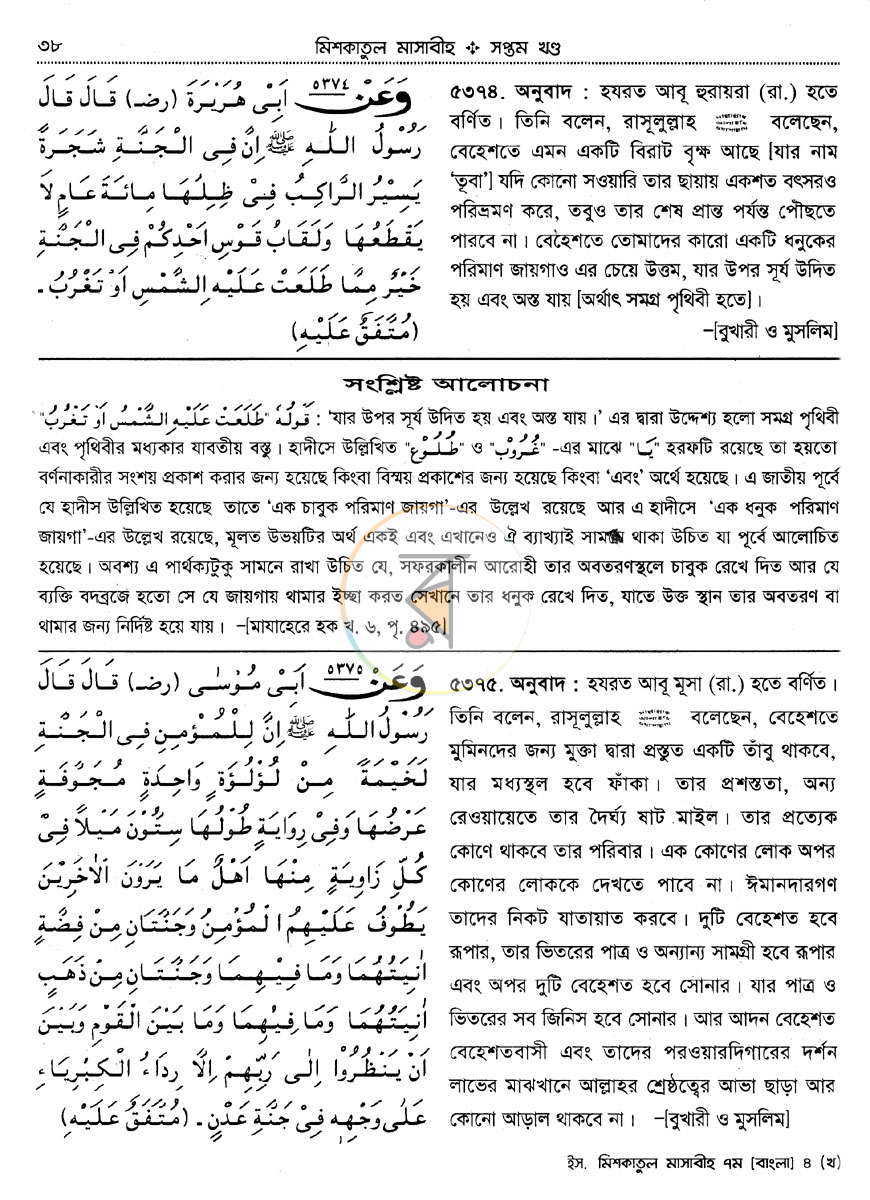 পাতা 8