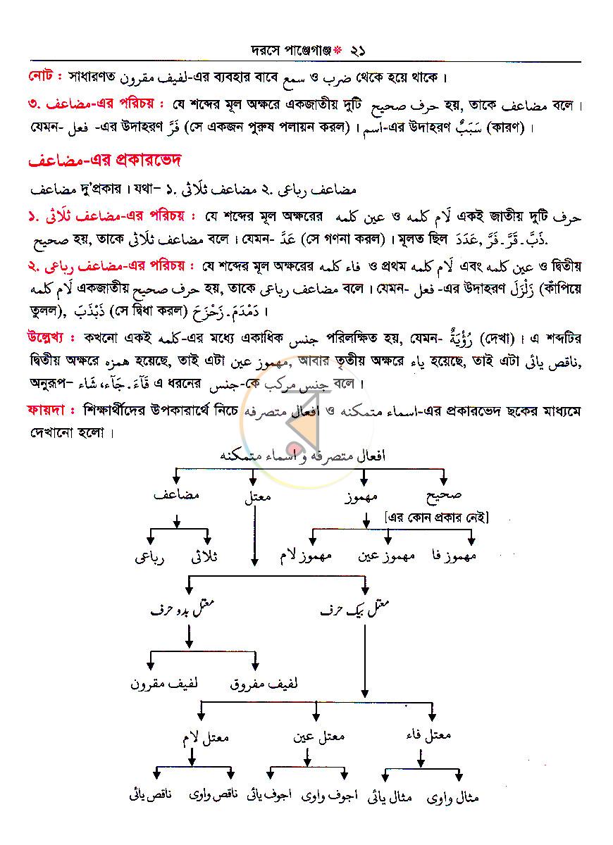 পাতা 10