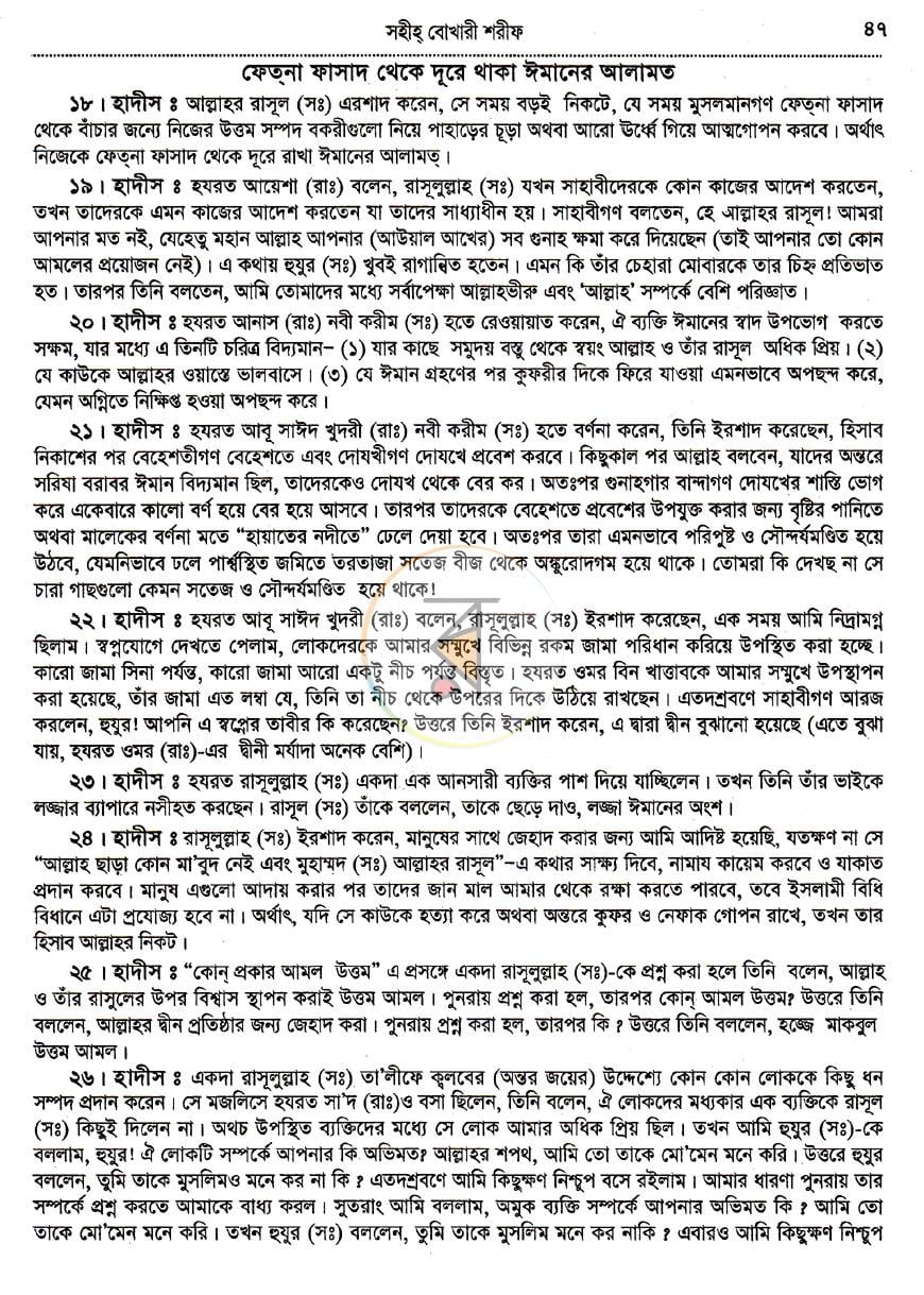 পাতা 13