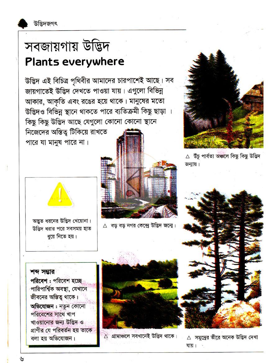 পাতা 2