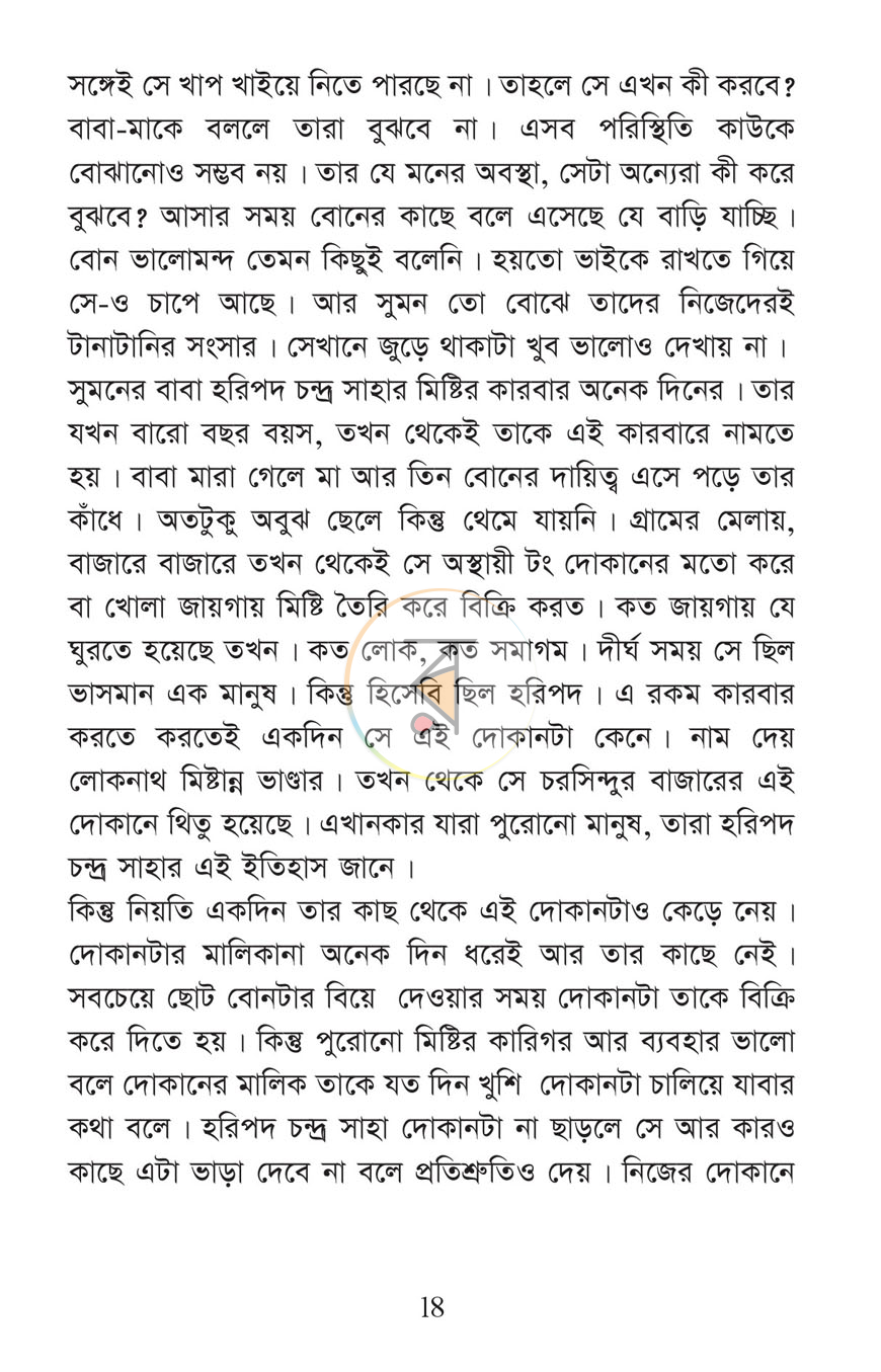 পাতা 13