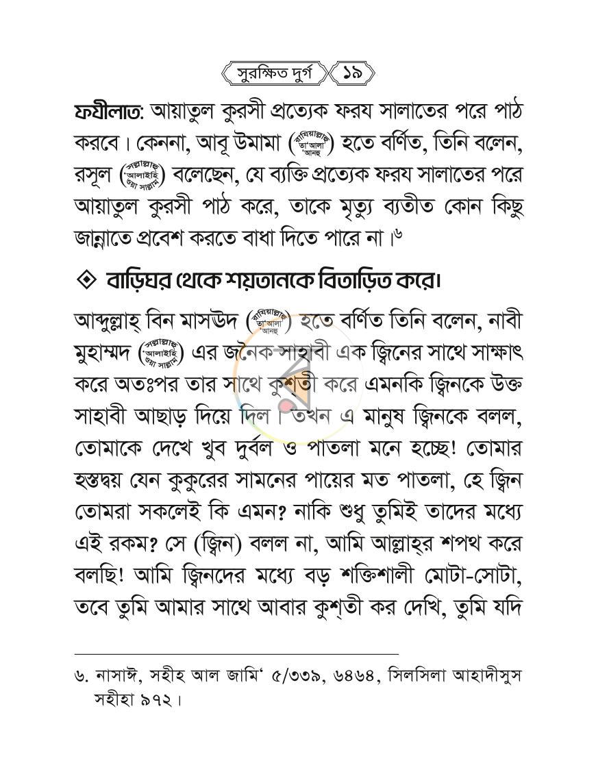 পাতা 17