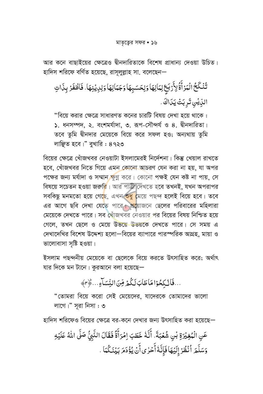 পাতা 13