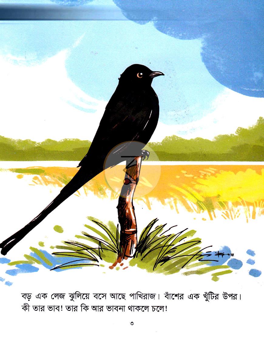 পাতা 3