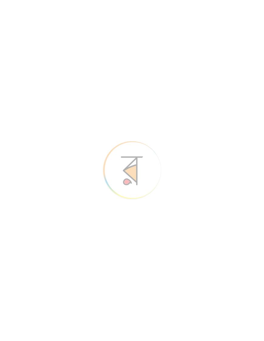 পাতা 17