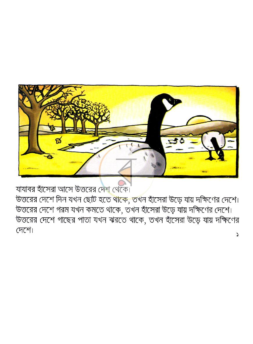 পাতা 1