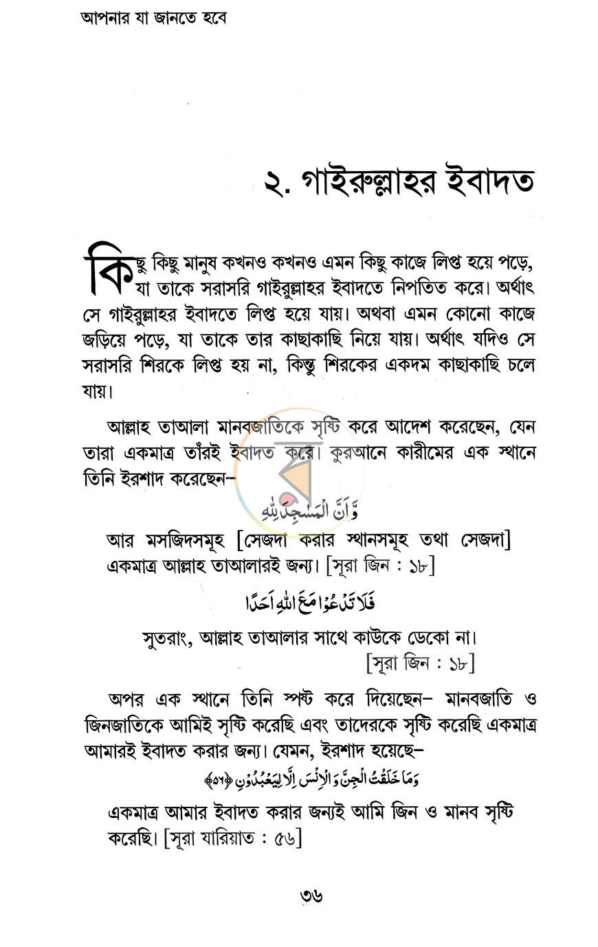 পাতা 12