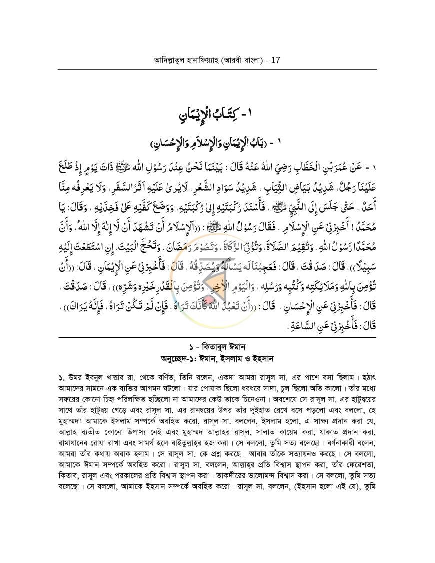 পাতা 17