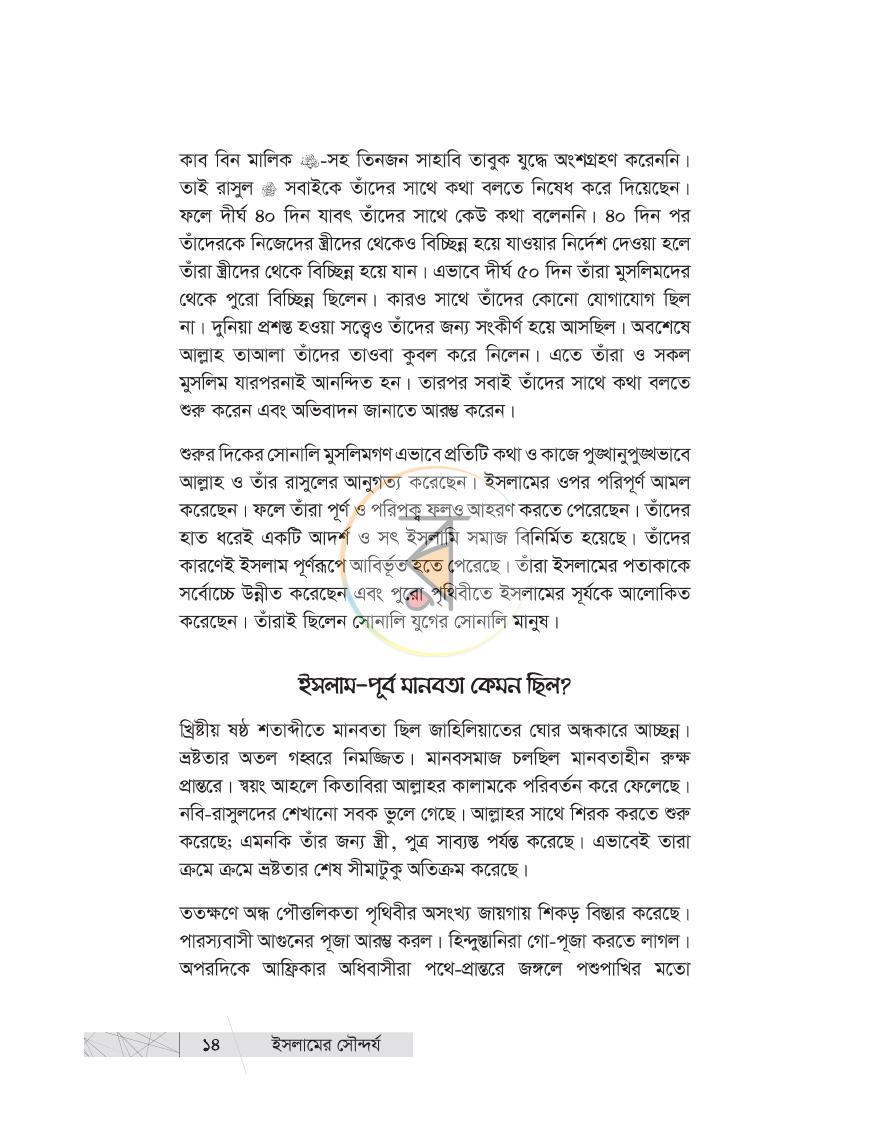 পাতা 13