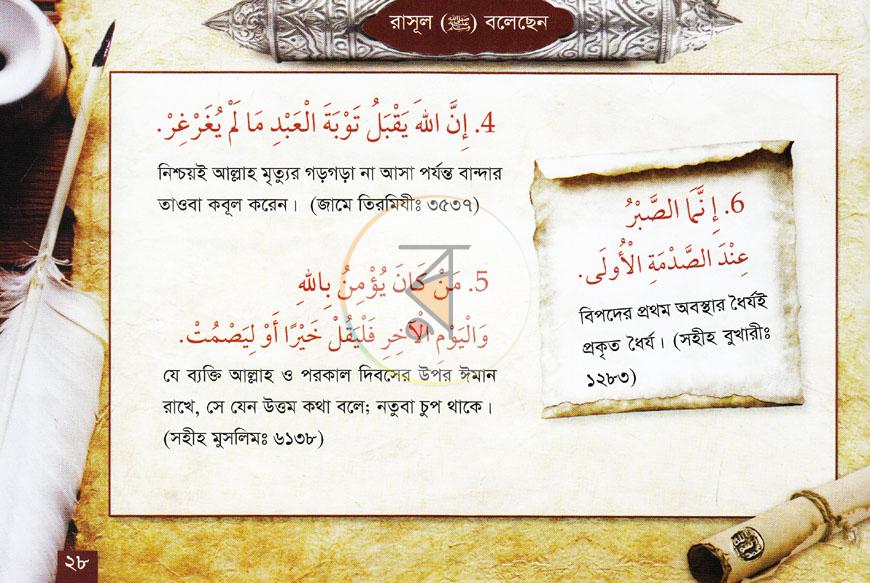 পাতা 11