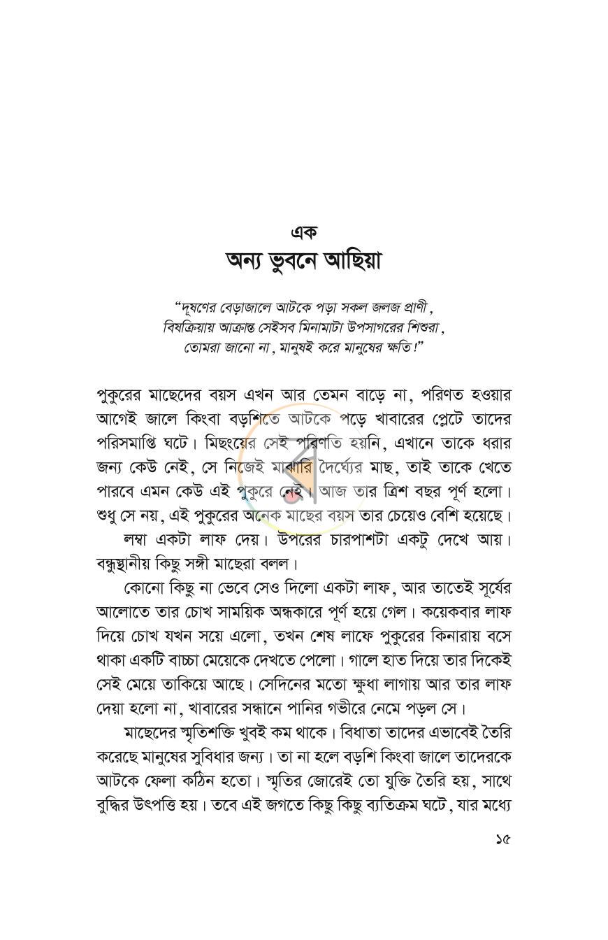 পাতা 13