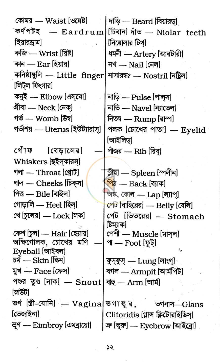 পাতা 8
