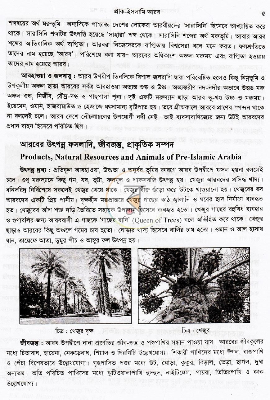 পাতা 10