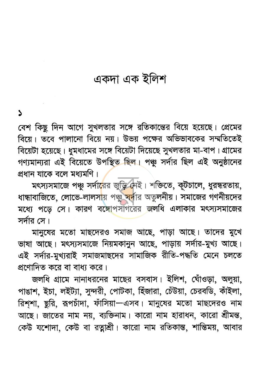 পাতা 13