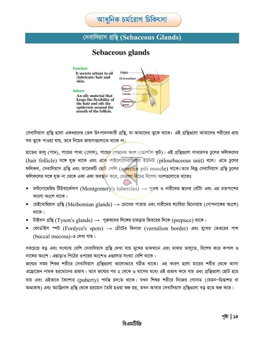 পাতা 14
