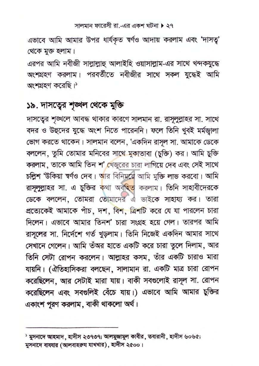 পাতা 11