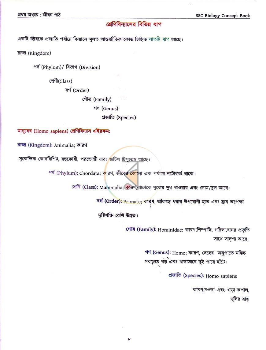 পাতা 8