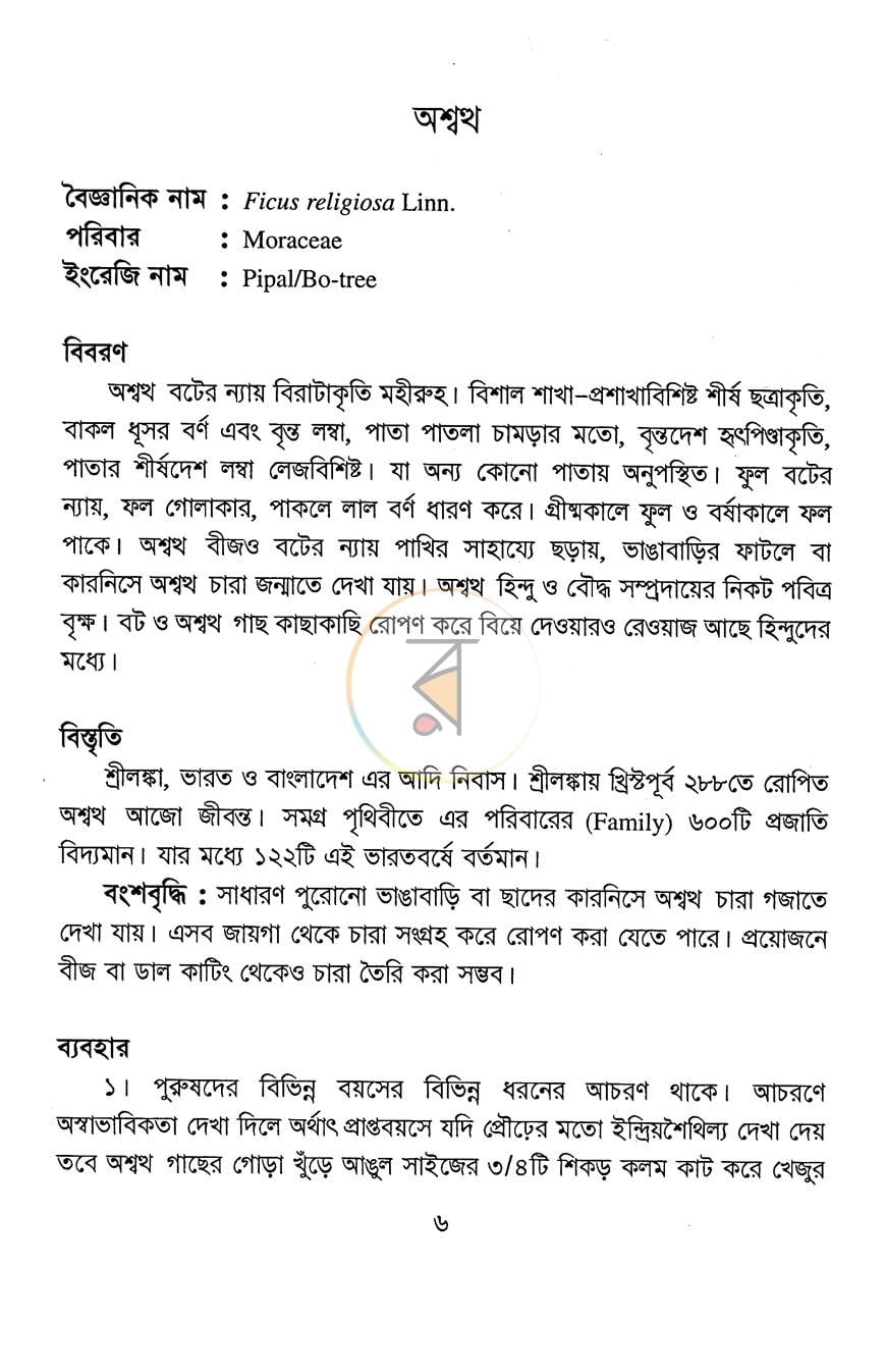 পাতা 11