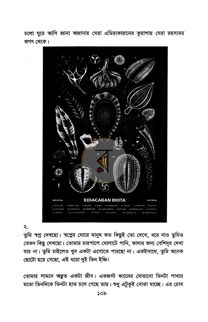 পাতা 11