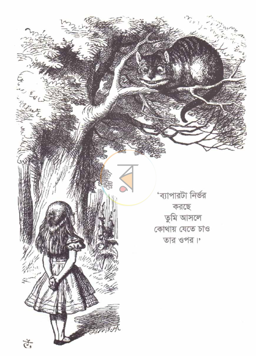 পাতা 11