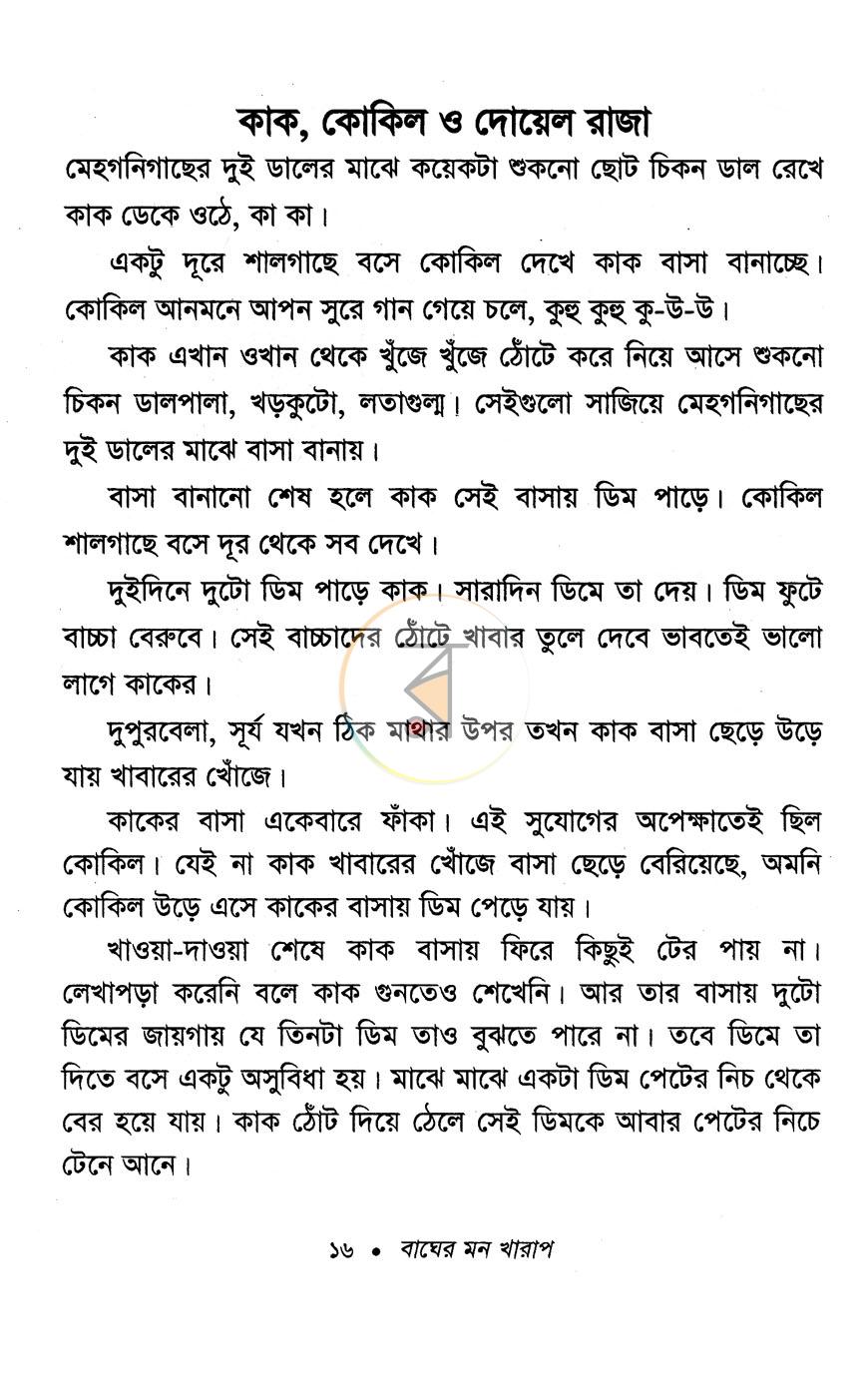 পাতা 11