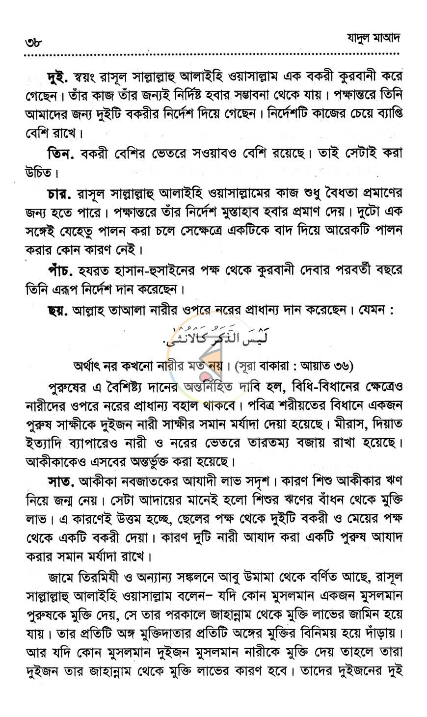 পাতা 11