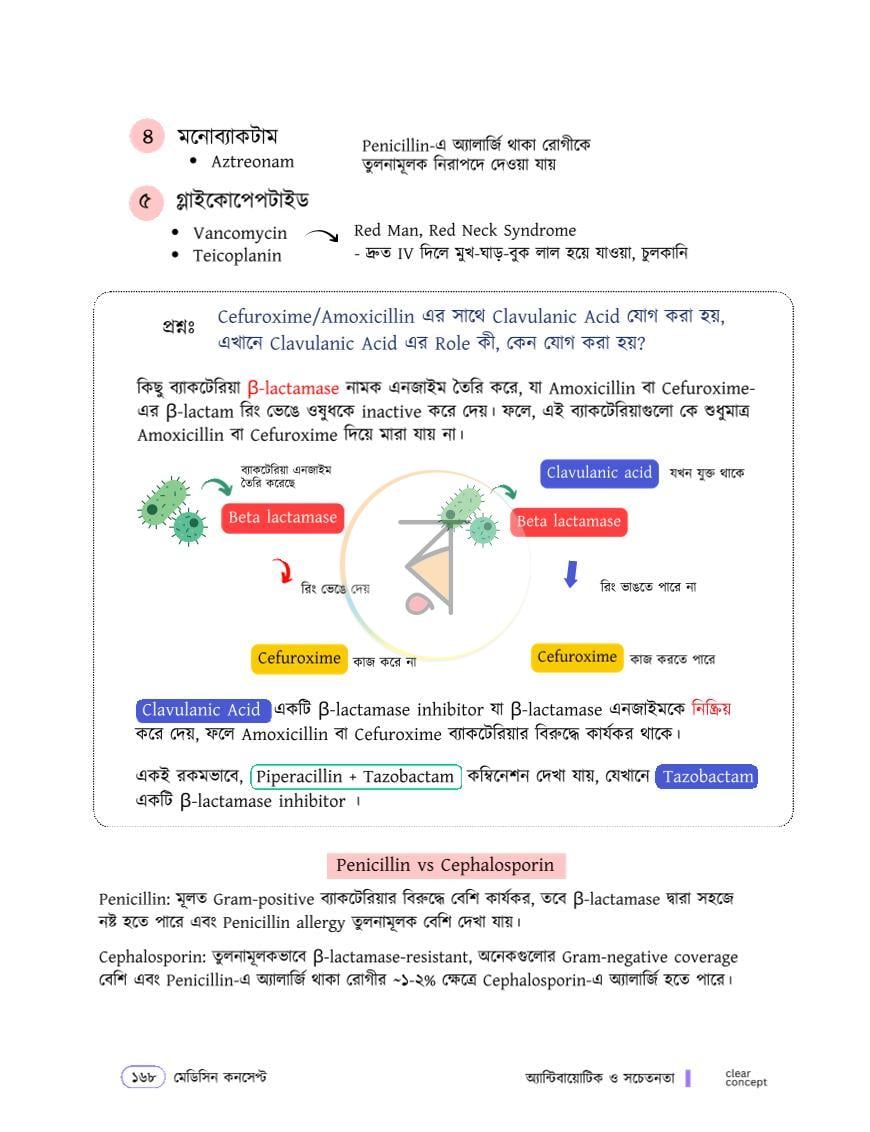 পাতা 16