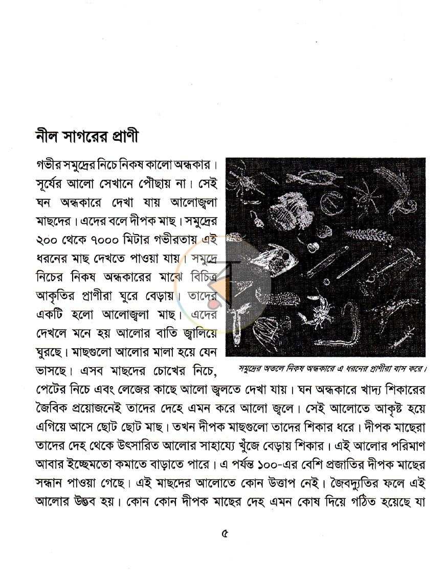 পাতা 3