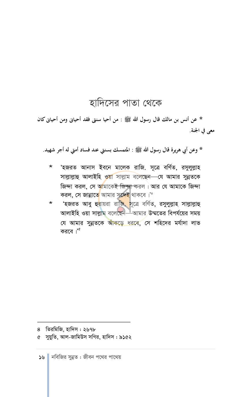 পাতা 11