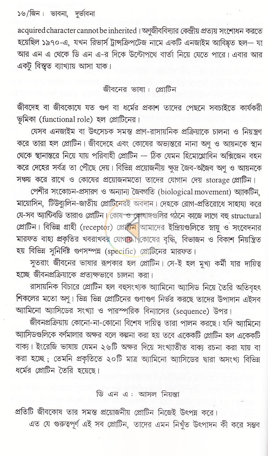 পাতা 11