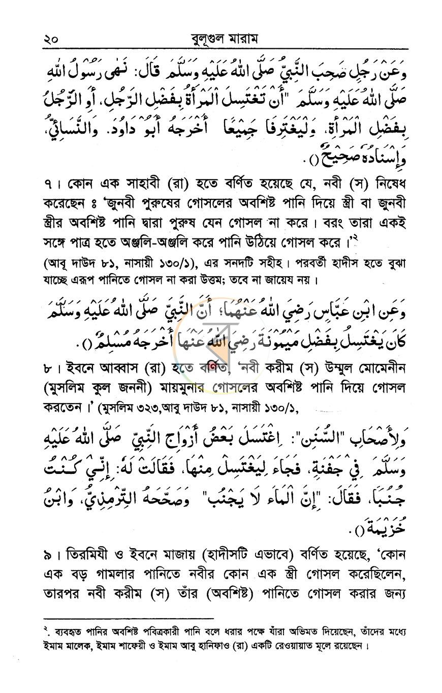 পাতা 13