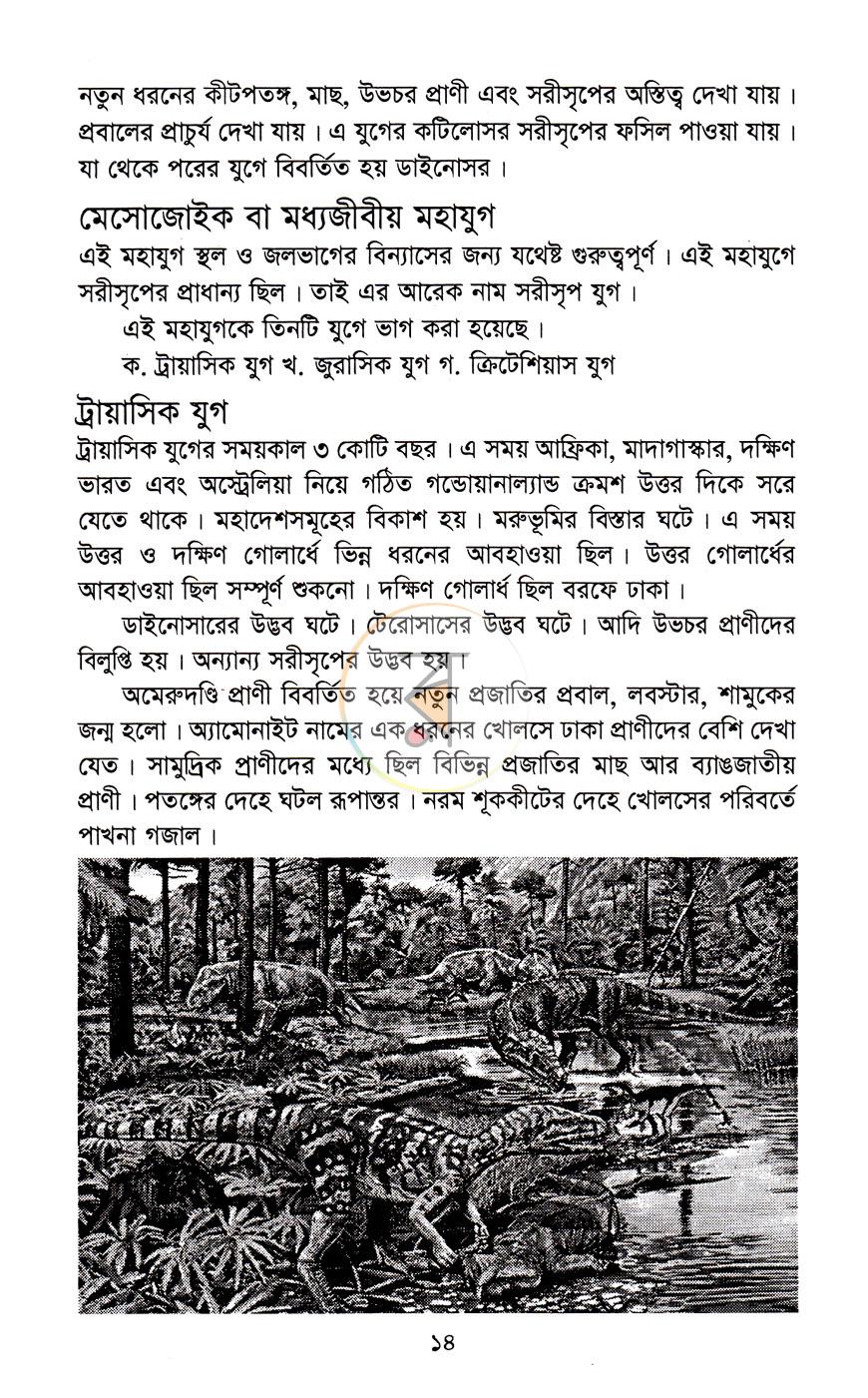 পাতা 9