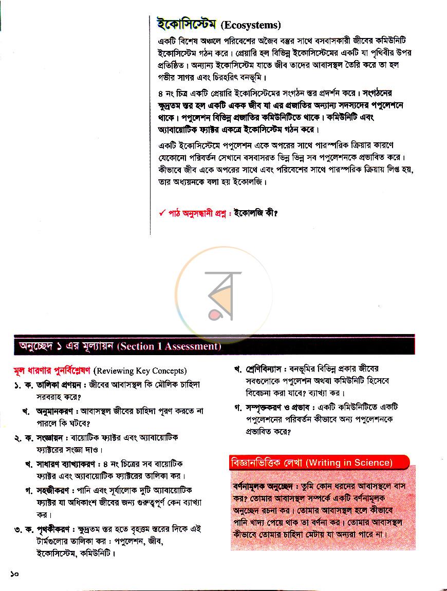 পাতা 10
