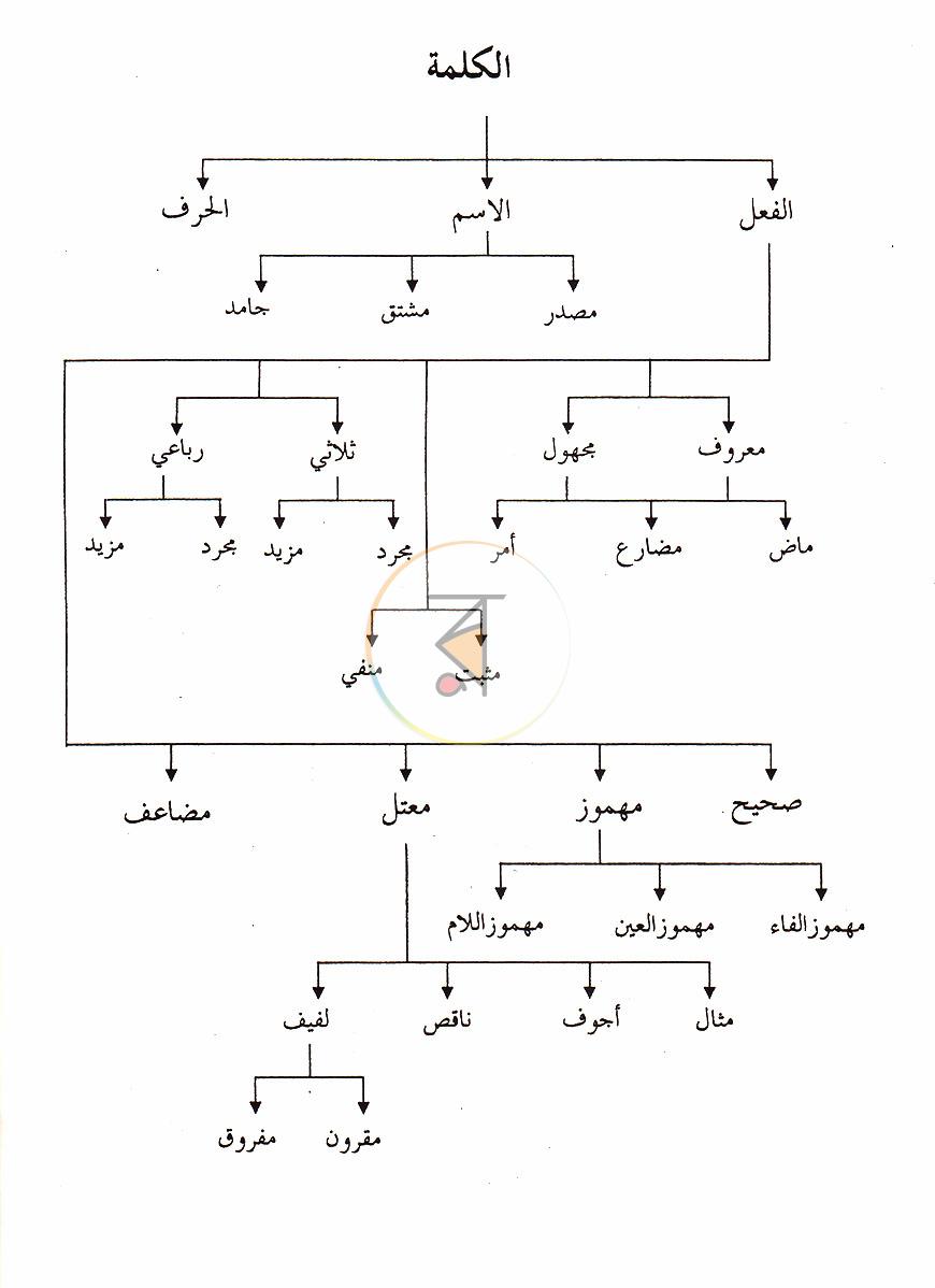 পাতা 10
