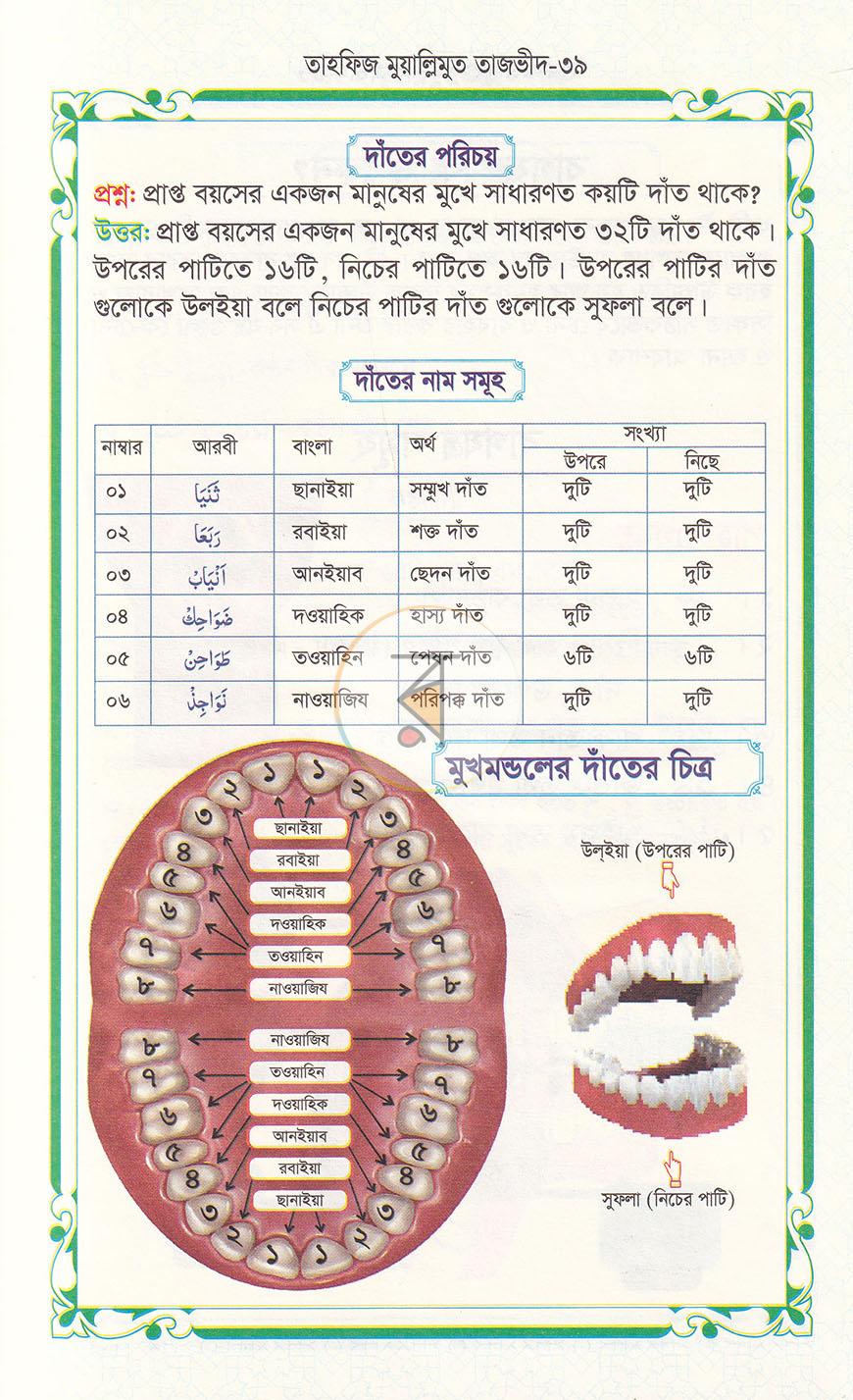 পাতা 16